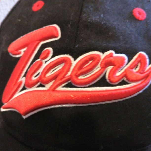 ★希少★　六甲おろし入り　(赤、ロゴマーク)阪神タイガース