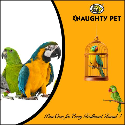 NAUGHTY PET PRO (POST) 1.jpg