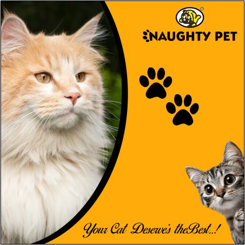 NAUGHTY PET PRO (POST) 2.jpg