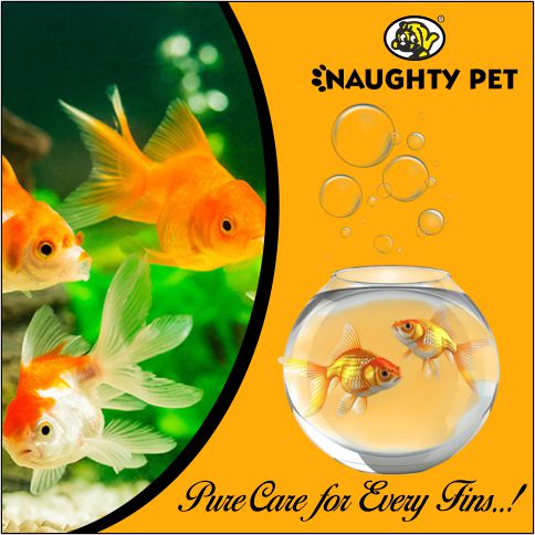 NAUGHTY PET PRO (POST) 3.jpg