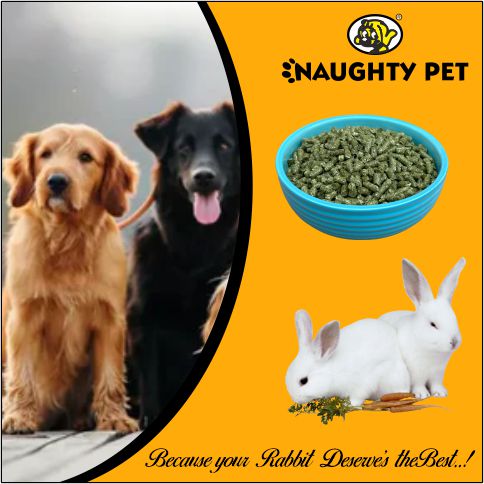 NAUGHTY PET PRO (POST) 5.jpg